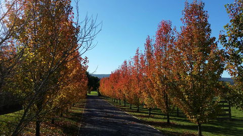 Tamar Valley Farm Stay - Internet Find 3
