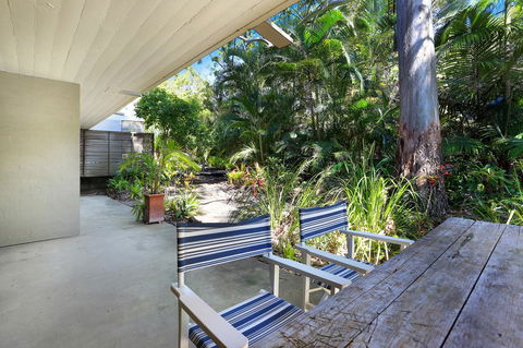 Tea Trees - Internet Find 1