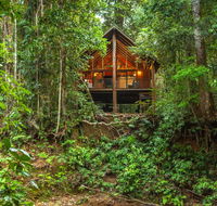 The Canopy Rainforest Treehouses  Wildlife Sanctuary - Internet Find