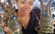 Red Chilli Thai Bargara - thumb 3