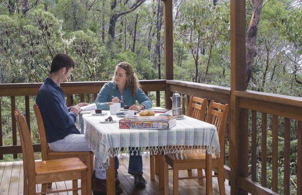Wild Cattle Creek NSW Internet Find