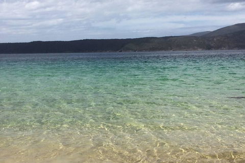 The Cove... On The Rocks At Port Arthur - Internet Find 1
