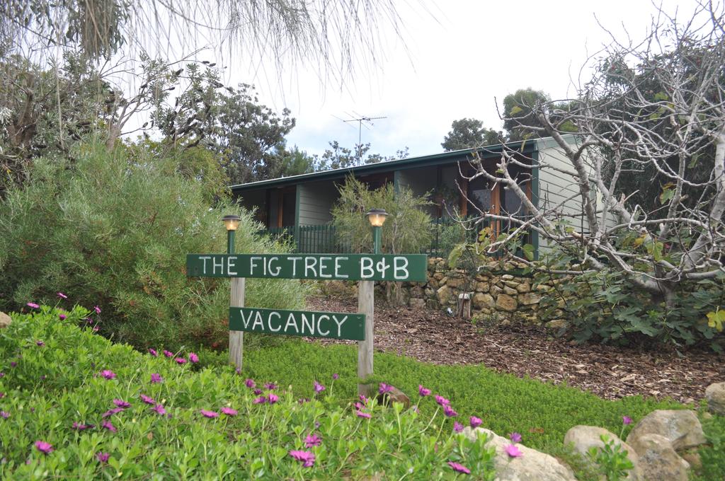 Antechamber Bay SA Internet Find