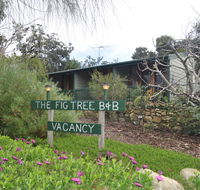 The Fig Tree BB - Internet Find