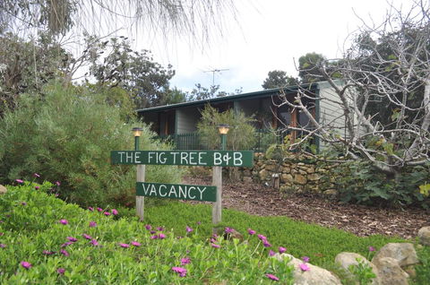 The Fig Tree B&B - Internet Find 0