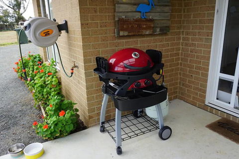 The Friendly Pelican - Internet Find 2