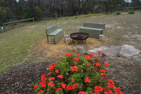 The Friendly Pelican - Internet Find 3