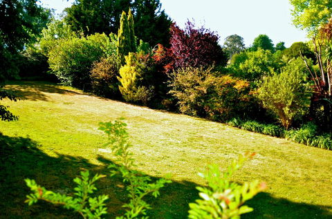 The Glasshouse Boutique Accommodation - Internet Find 1