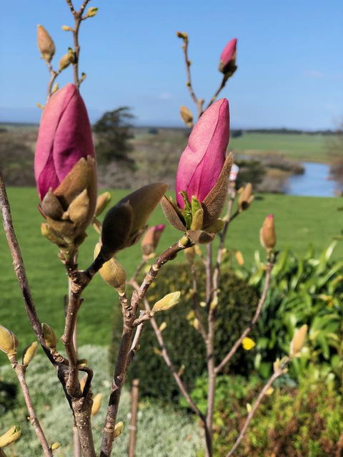 The Granary - Internet Find 3