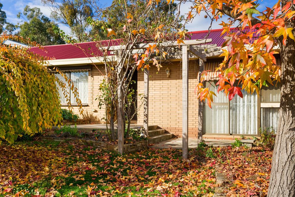 Cochranes Creek VIC Internet Find