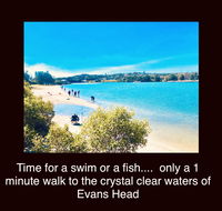 The Lazy Llama - Internet Find