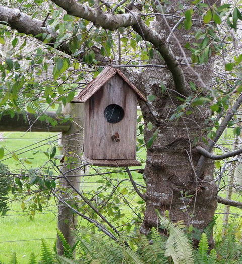 The Little House On The Hill - Internet Find 3