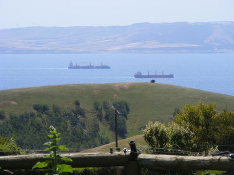 The Lookout - Internet Find 2