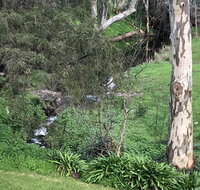 The Miners Cottage Barossa - Internet Find