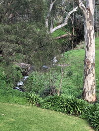 Business in Cockatoo Valley SA Internet Find Internet Find