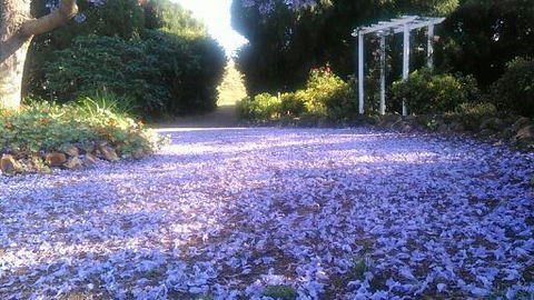 The Old Church Bed And Breakfast - Internet Find 2