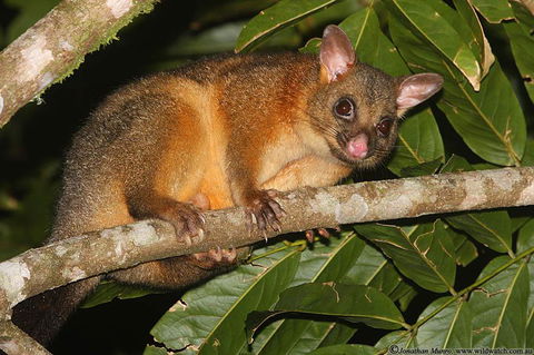 The Pond Cottage - Internet Find 2