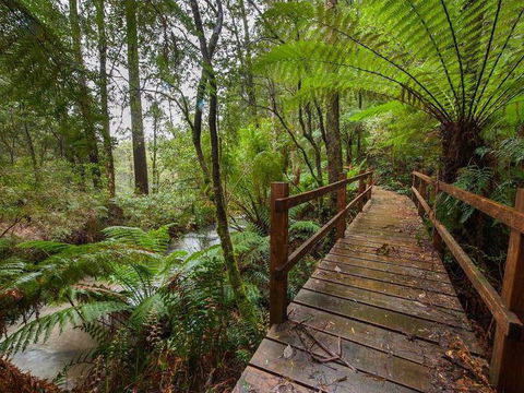 The Source, Otways - Internet Find 0