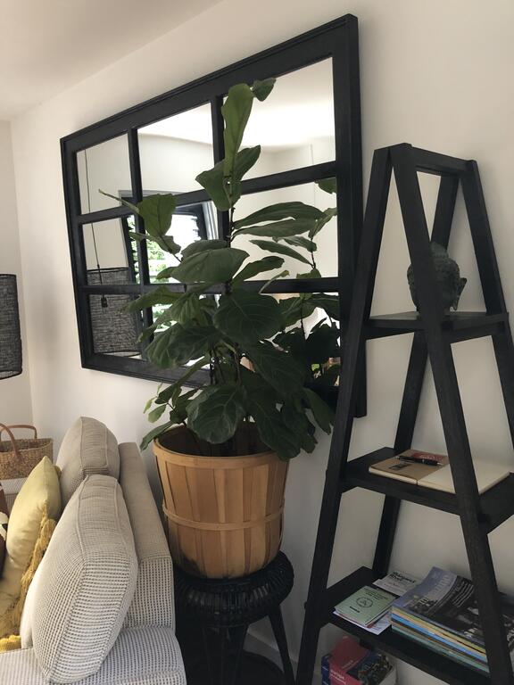 Horse Transporting Prevelly WA Internet Find