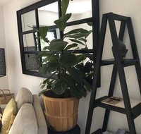 The Stewart - Internet Find