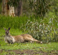 The Stirling Golf Club - Internet Find