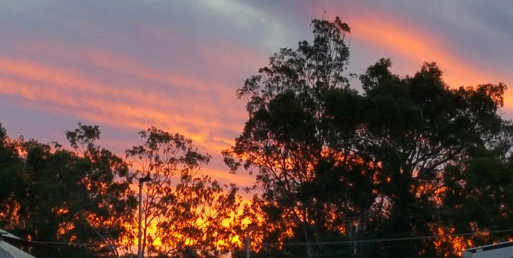 South Newdegate WA Internet Find