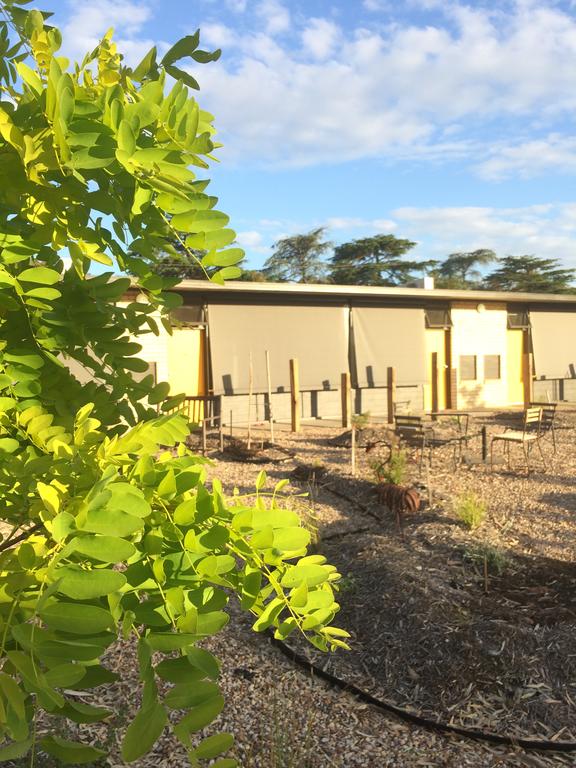 Ravenswood South VIC Internet Find