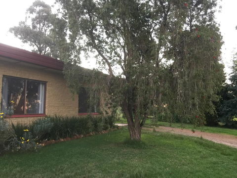 Tree Of Love Farm Stay - Internet Find 1