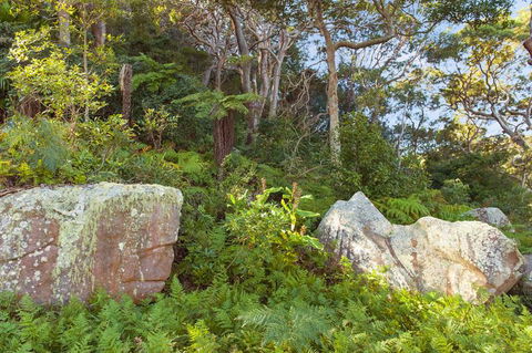 Treehouse Palm Beach - Internet Find 2