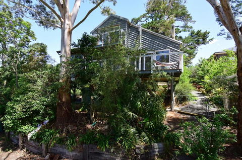 Treetops - Newly Renovated, In The Village! - Internet Find 0