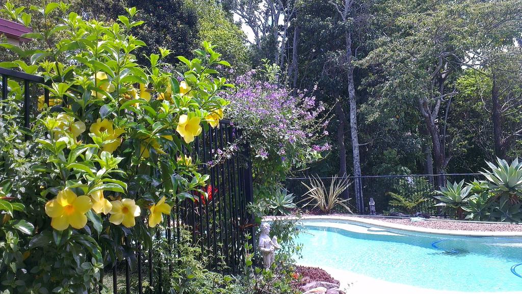 Tweed Heads NSW Internet Find