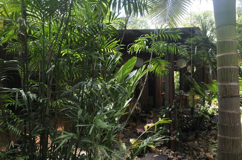 Tropical Bliss Bed And Breakfast - Internet Find 2