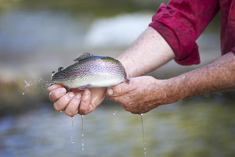 Tuki Retreat - Internet Find 2