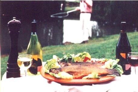 Tuki Retreat - Internet Find 3