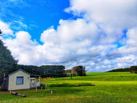 Business in Princetown VIC Internet Find Internet Find