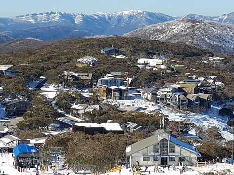 Twin Towers 504 B - Internet Find 1