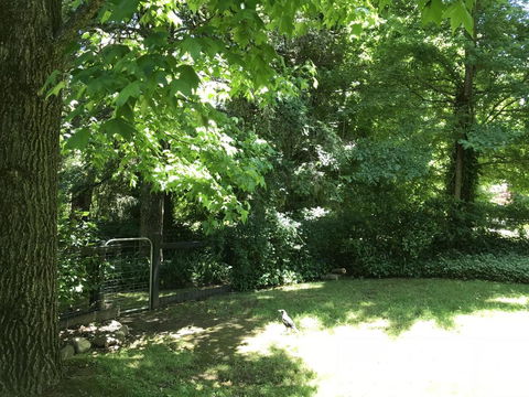 Tyntynder Garden Cottage 4 - Internet Find 2