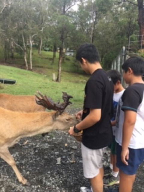 Villa Cervi Property - Internet Find 3