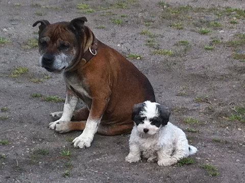 Walcha Royal Cafe & Accommodation - Internet Find 3