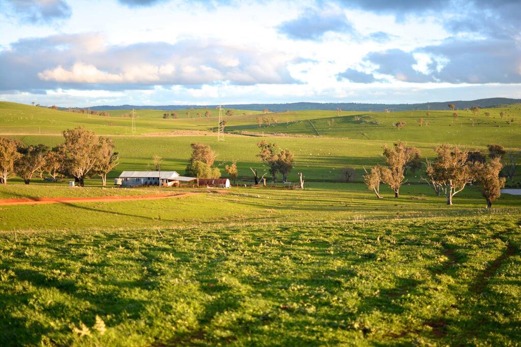 Murringo NSW Internet Find