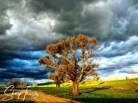 Wantana Cottage Farmstay - Internet Find 2