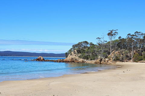 Whale Cove Circuit - Internet Find 1