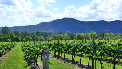 Winmark Wines - Internet Find 1