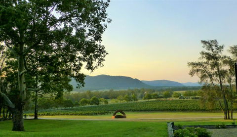 Winmark Wines - Internet Find 0
