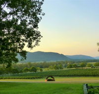 Winmark Wines - Internet Find