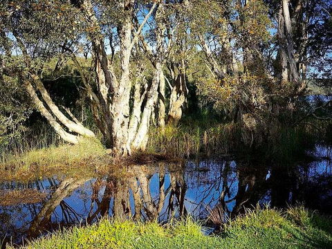 Wisteria Cottage On The Lagoon/Beach - Internet Find 2