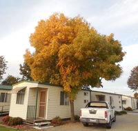 Wodonga Caravan  Cabin Park - Internet Find