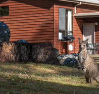 Wonderland Cottages - Internet Find