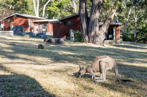 Wonderland Cottages - Internet Find 1