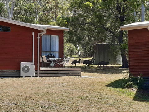 Wonderland Cottages - Internet Find 3